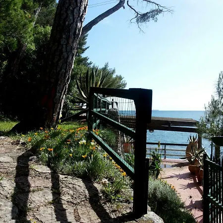 Tregia