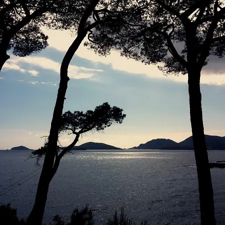 Tregia Tellaro