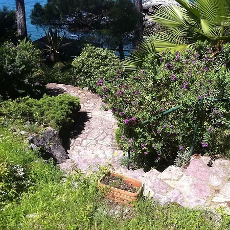 Tregia