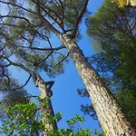 Tregia Villa Tellaro