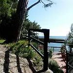 Tregia