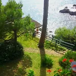 Tregia