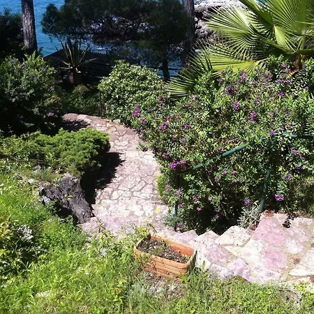 Tregia