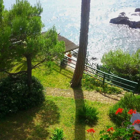 Tregia