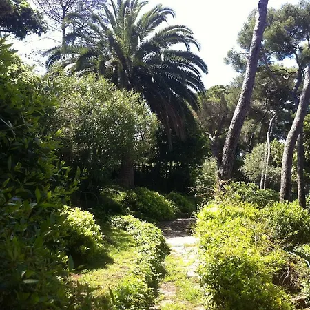 Tregia
